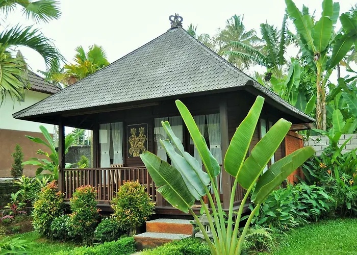 Dong Loka Bali 3*