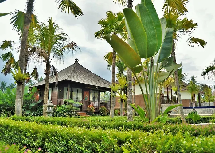 Dong Loka Bali 3*